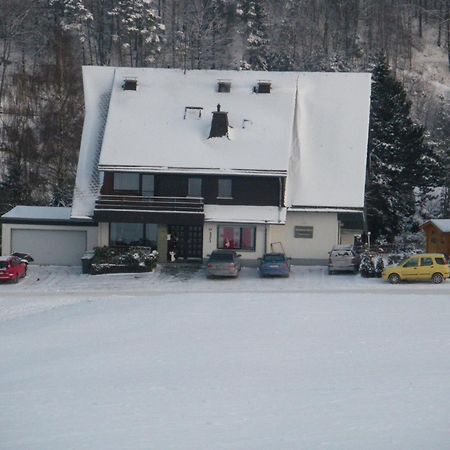 Ferienwohnungen Landhaus Meran Inkl Meinecardplus Willingen  Extérieur photo