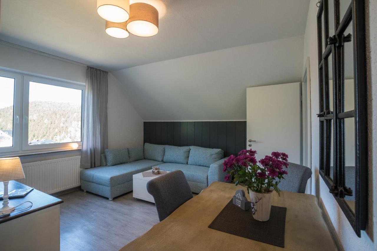 Ferienwohnungen Landhaus Meran Inkl Meinecardplus Willingen  Extérieur photo
