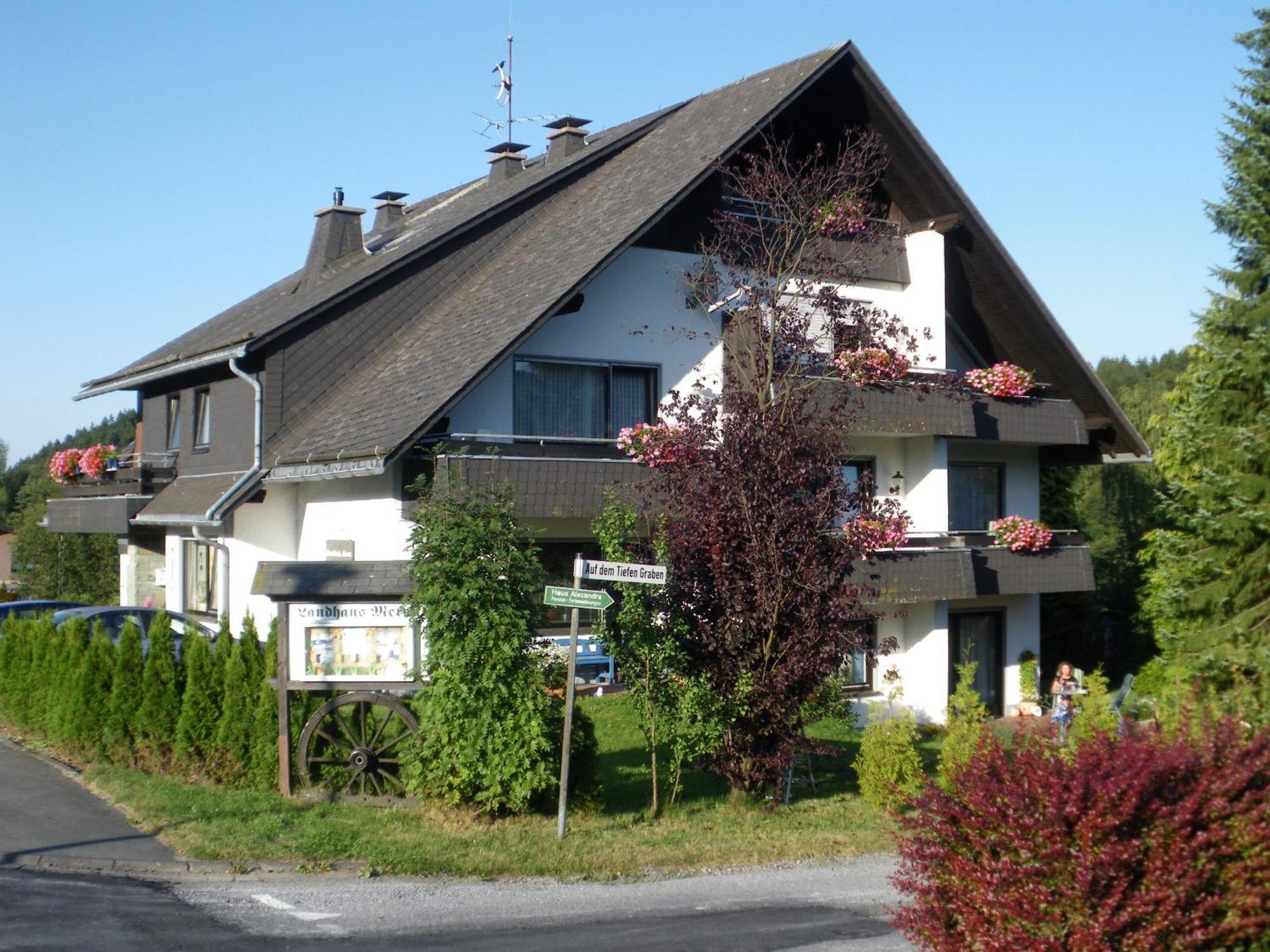 Ferienwohnungen Landhaus Meran Inkl Meinecardplus Willingen  Extérieur photo