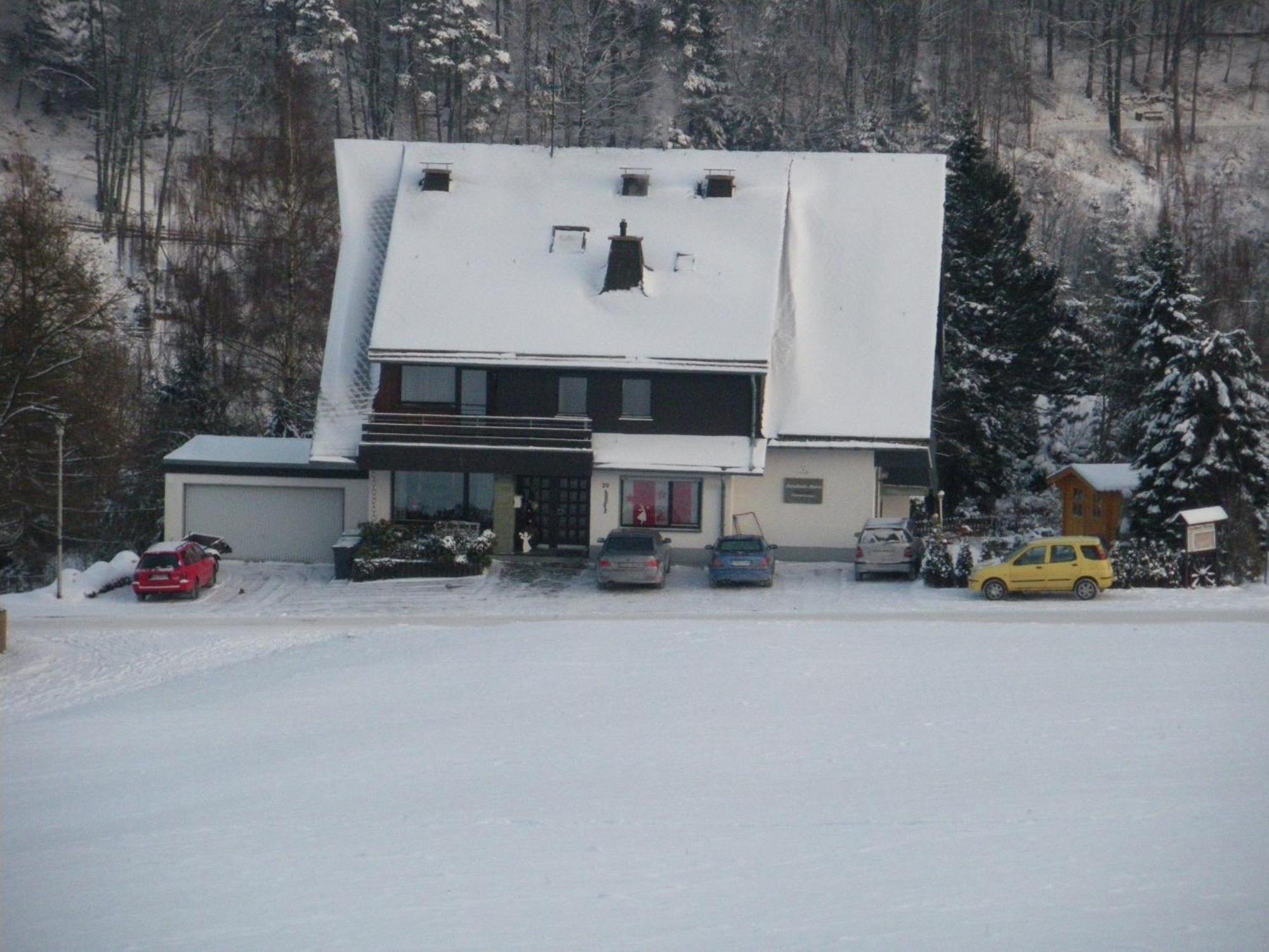 Ferienwohnungen Landhaus Meran Inkl Meinecardplus Willingen  Extérieur photo