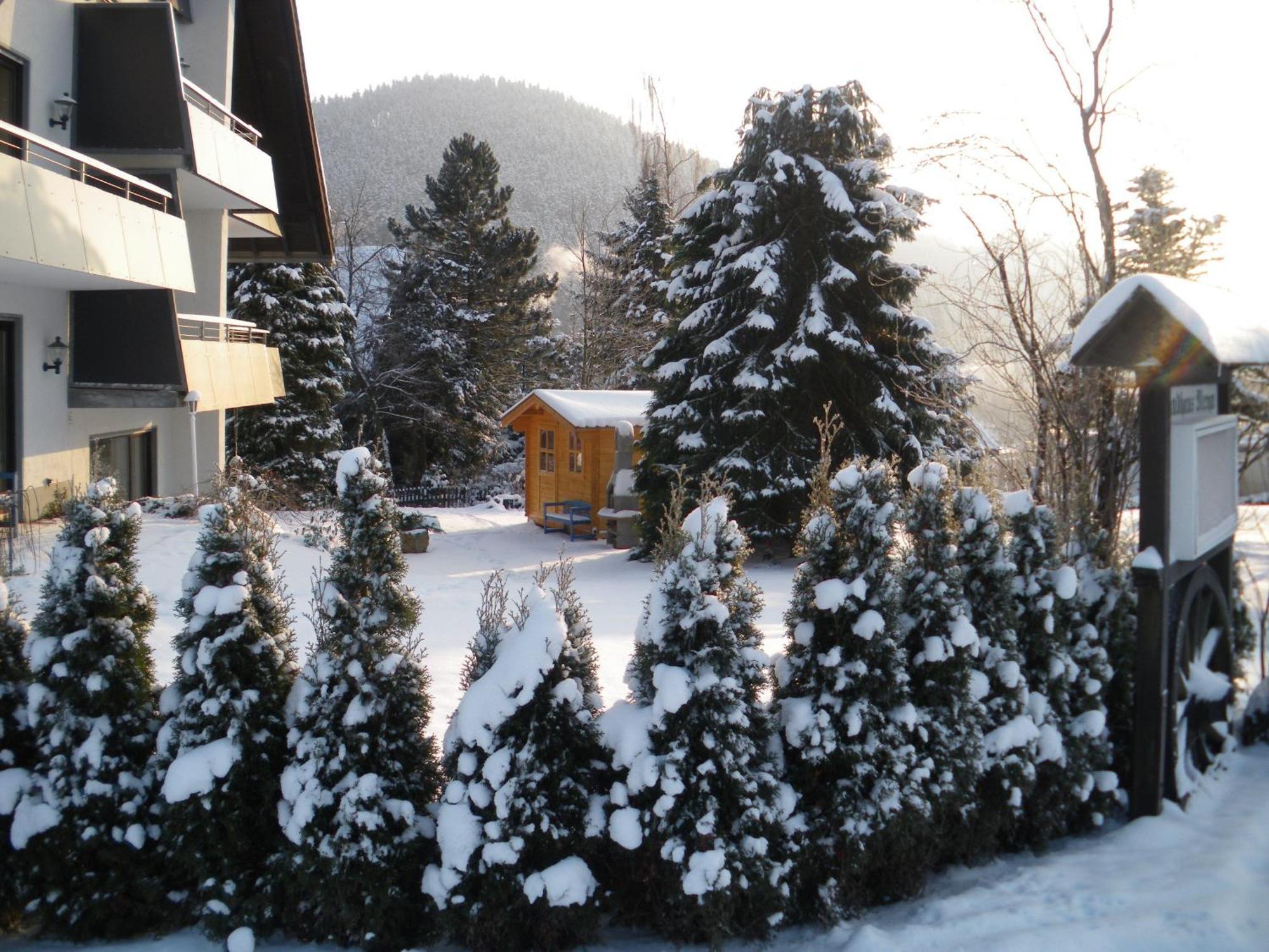 Ferienwohnungen Landhaus Meran Inkl Meinecardplus Willingen  Extérieur photo