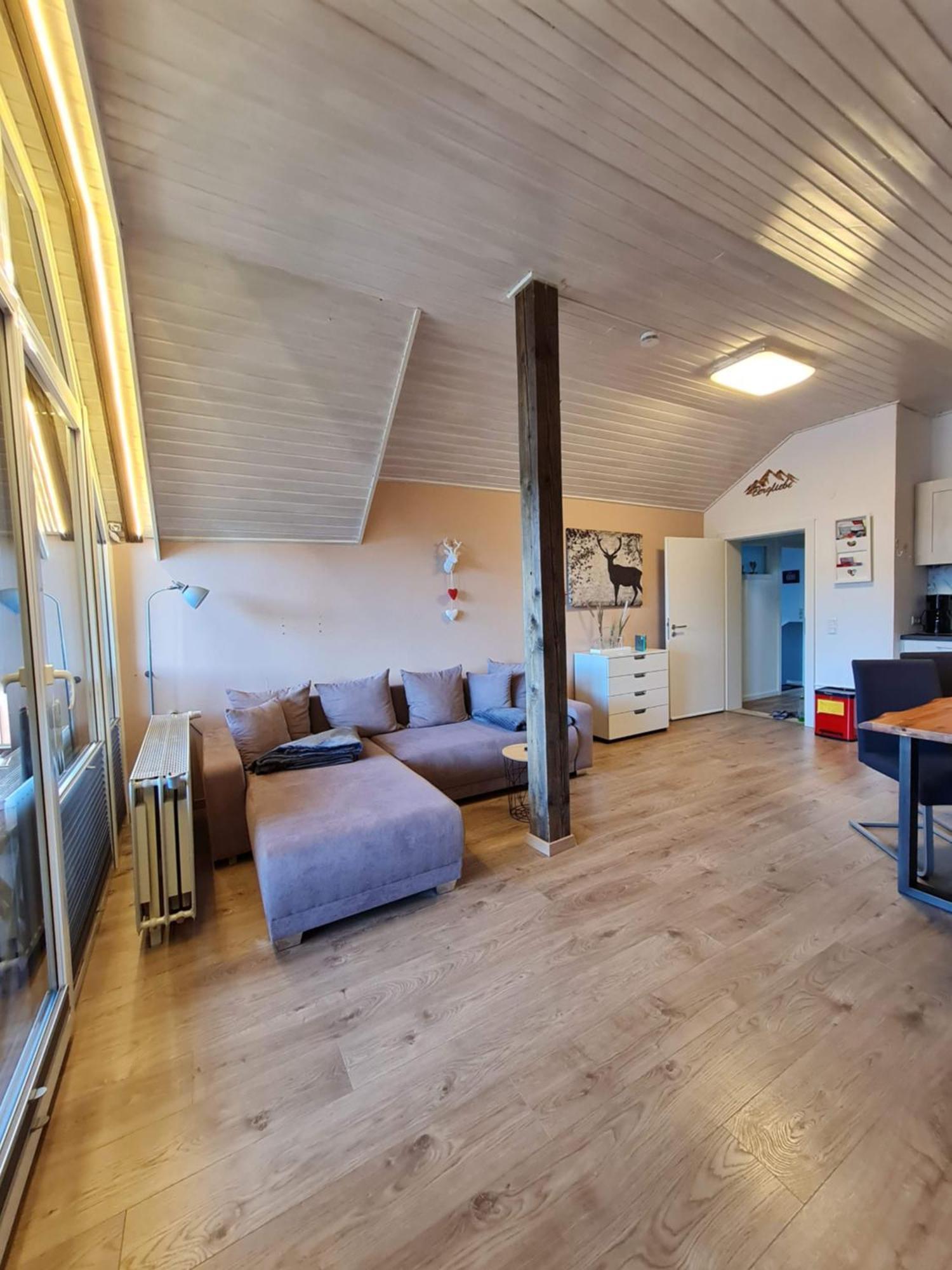 Ferienwohnungen Landhaus Meran Inkl Meinecardplus Willingen  Extérieur photo