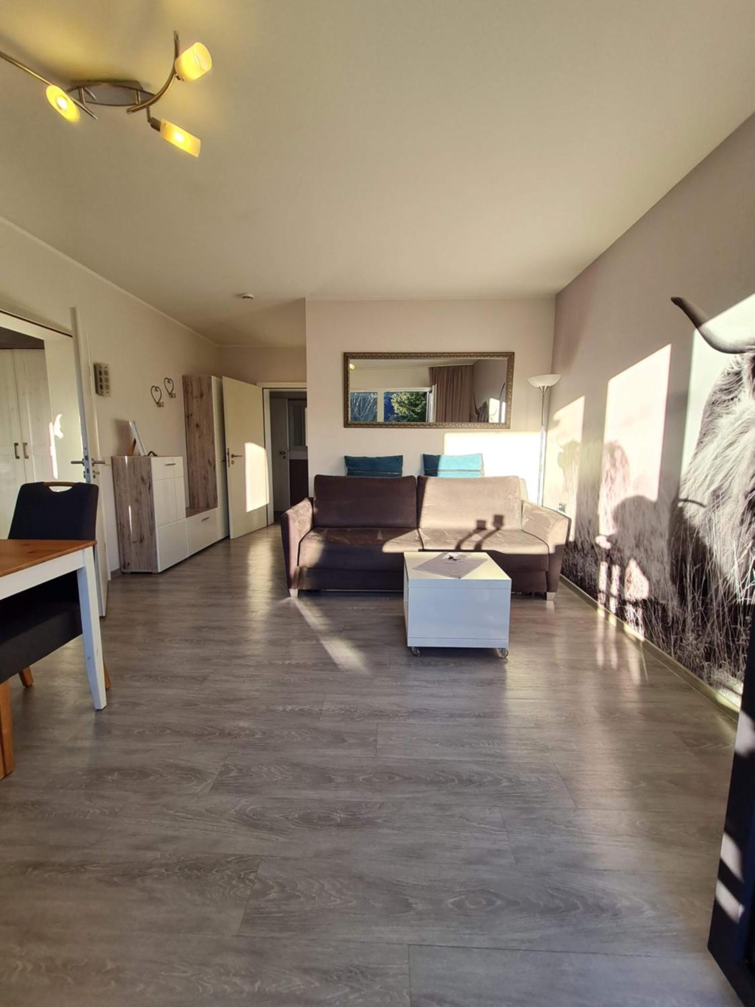 Ferienwohnungen Landhaus Meran Inkl Meinecardplus Willingen  Extérieur photo