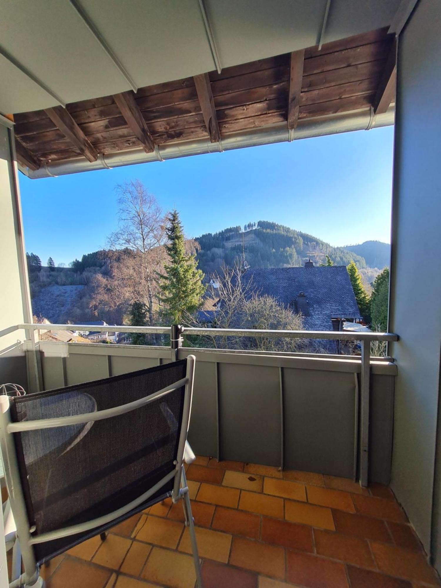Ferienwohnungen Landhaus Meran Inkl Meinecardplus Willingen  Extérieur photo
