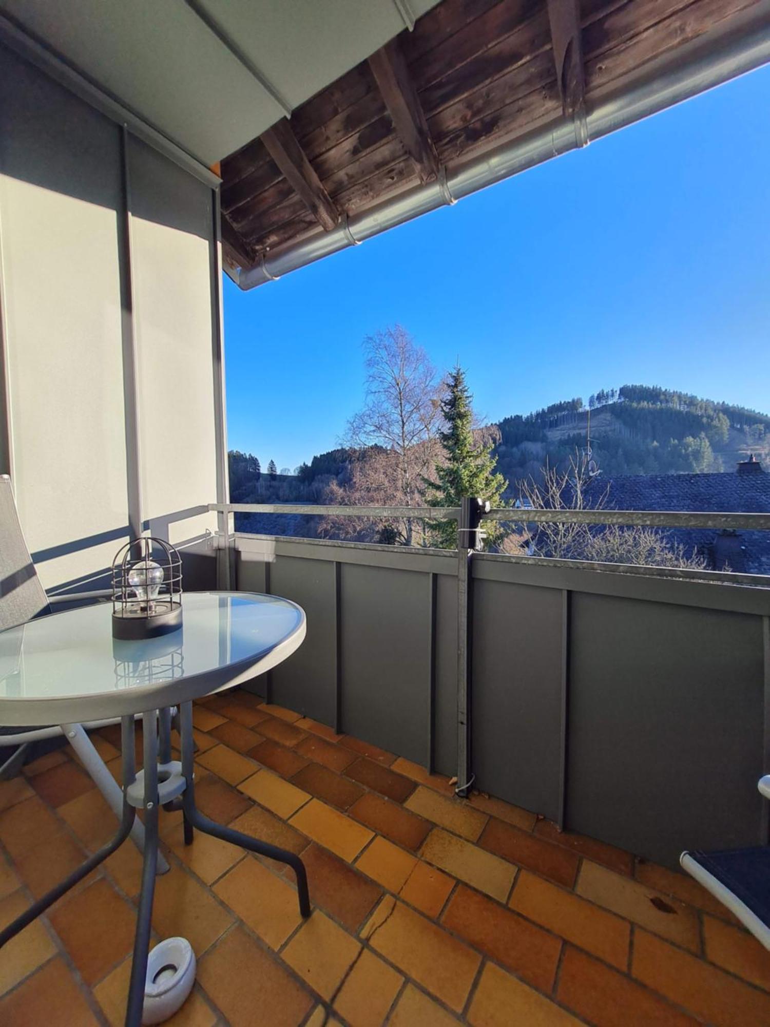 Ferienwohnungen Landhaus Meran Inkl Meinecardplus Willingen  Extérieur photo